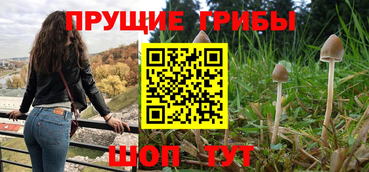 Галлюциногенные грибы ЛСД Сланцы