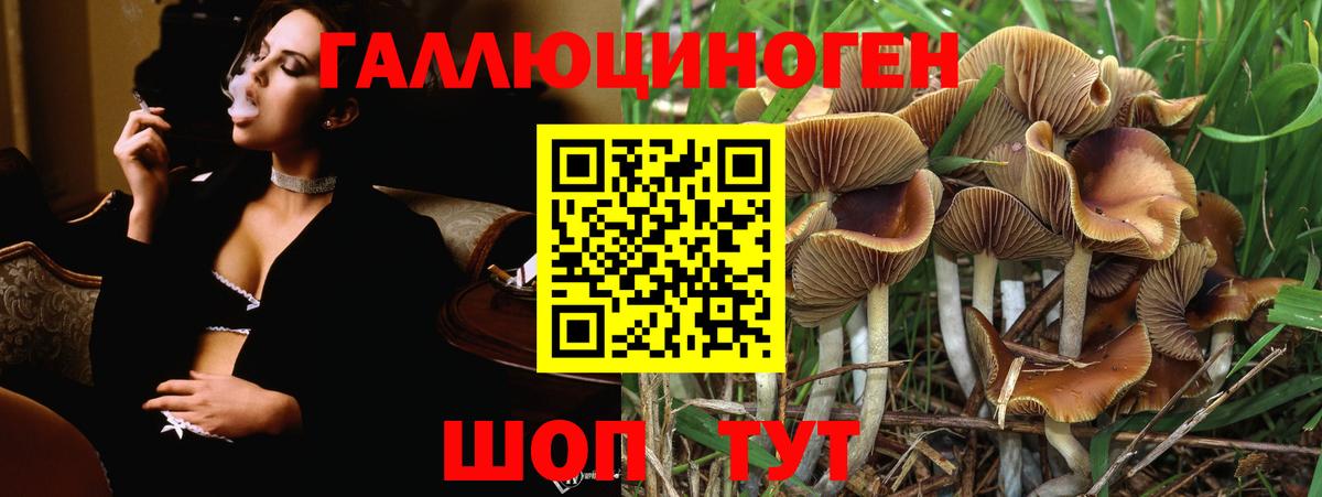 Галлюциногенные грибы мухоморы  Вход с VPN  Псилоцибиновые грибы ЛСД  Сланцы 